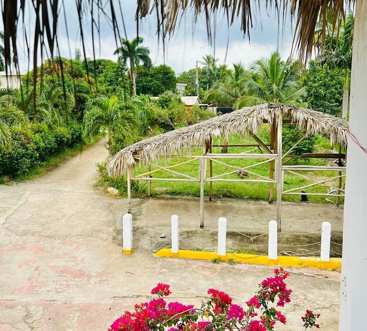 Διαμέρισμα The Coco Garden Cabin Las Galeras