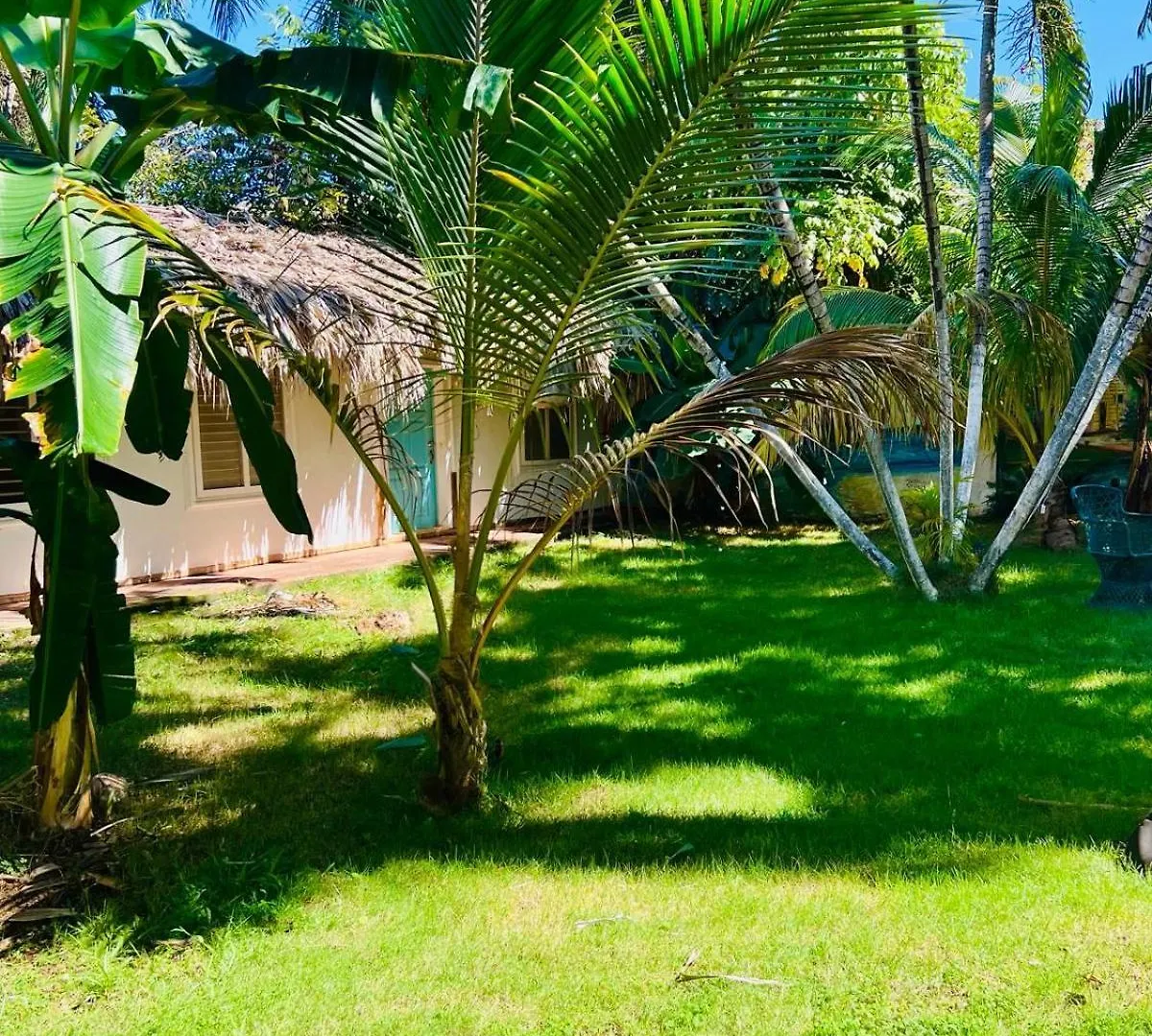 The Coco Garden Cabin Las Galeras